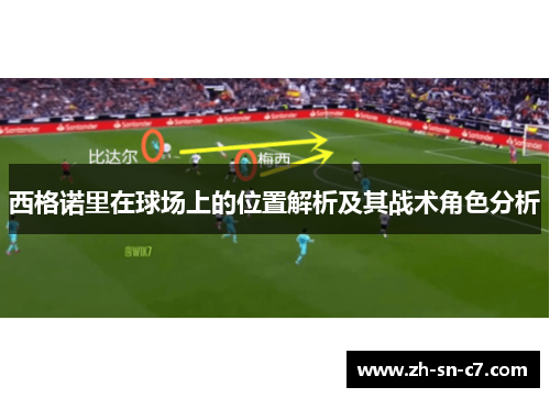 西格诺里在球场上的位置解析及其战术角色分析