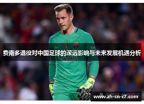 费南多退役对中国足球的深远影响与未来发展机遇分析