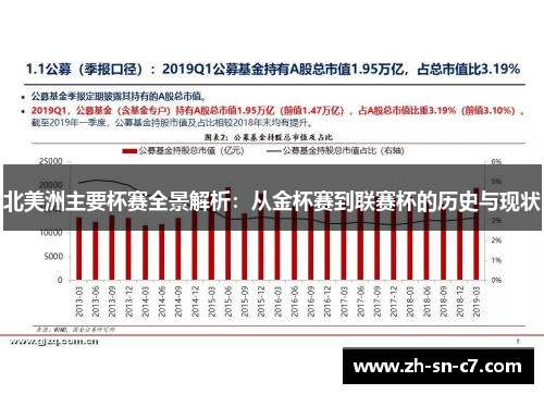北美洲主要杯赛全景解析：从金杯赛到联赛杯的历史与现状