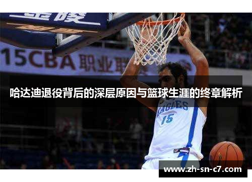 哈达迪退役背后的深层原因与篮球生涯的终章解析