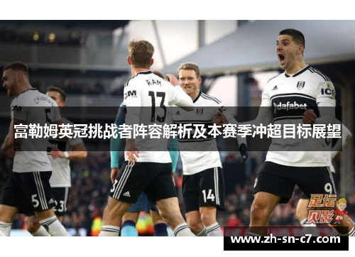 富勒姆英冠挑战者阵容解析及本赛季冲超目标展望 富勒姆英冠挑战者阵容解析及本赛季冲超目标展望