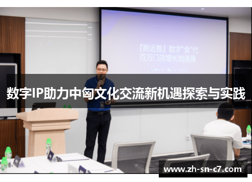 数字IP助力中匈文化交流新机遇探索与实践 数字IP助力中匈文化交流新机遇探索与实践