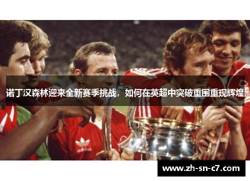 诺丁汉森林迎来全新赛季挑战,如何在英超中突破重围重现辉煌 诺丁汉森林迎来全新赛季挑战,如何在英超中突破重围重现辉煌