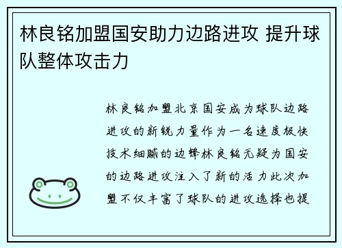 林良铭加盟国安助力边路进攻 提升球队整体攻击力