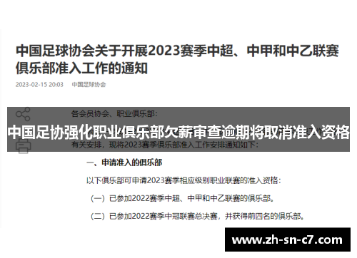 中国足协强化职业俱乐部欠薪审查逾期将取消准入资格 中国足协强化职业俱乐部欠薪审查逾期将取消准入资格