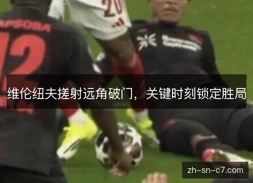 维伦纽夫搓射远角破门,关键时刻锁定胜局 维伦纽夫搓射远角破门,关键时刻锁定胜局